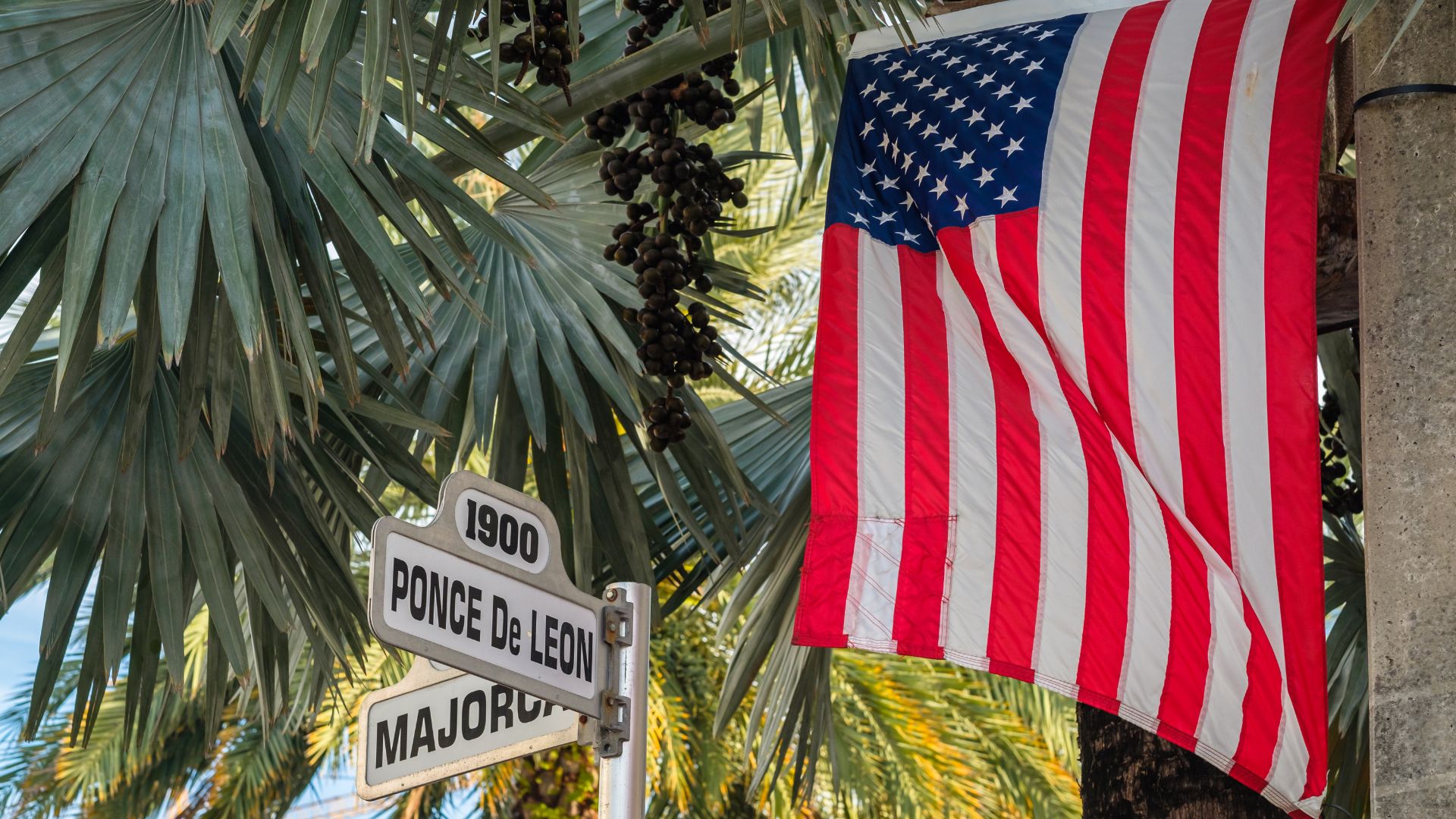 Avidd background image, street of coral gables